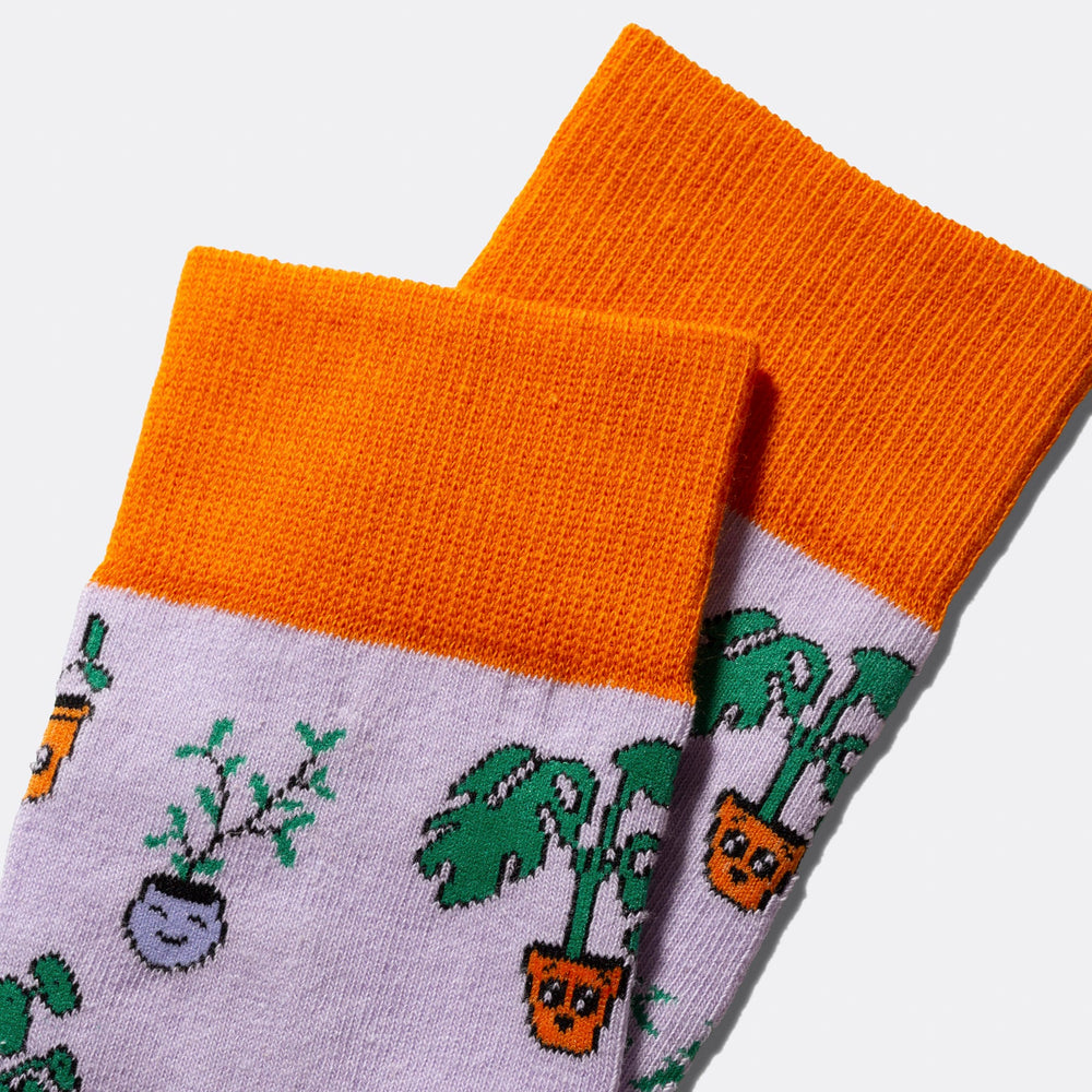 Plant Socks
