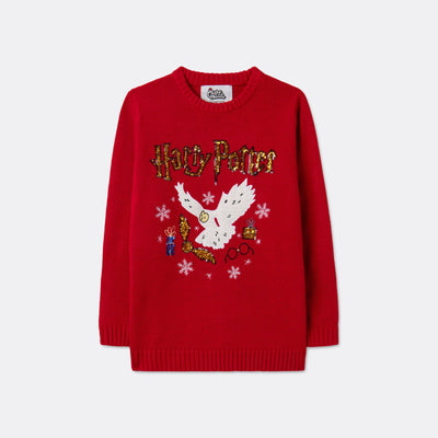 Kids' Harry Potter Christmas Sweater