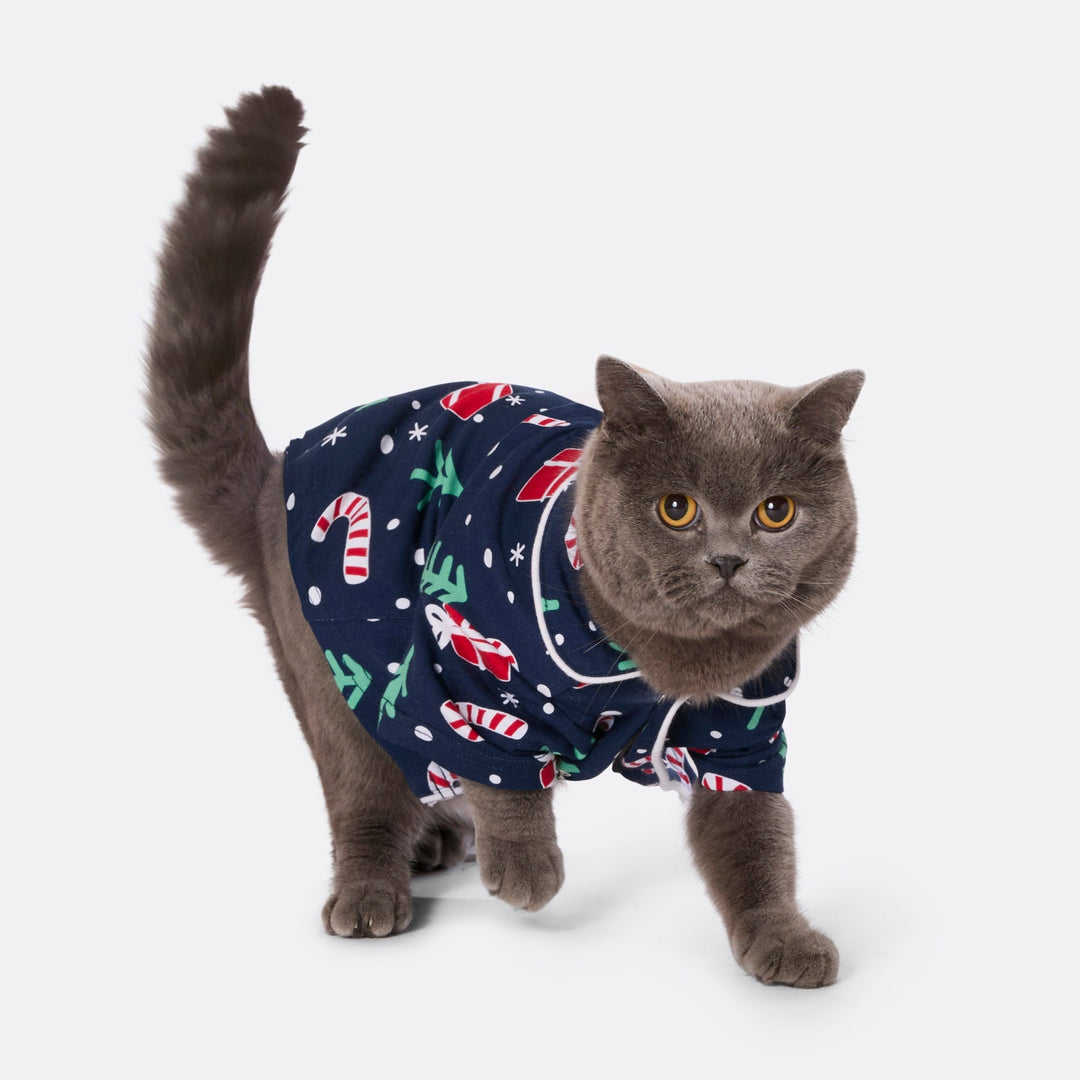 Blue Christmas Pattern Christmas Pyjamas Family