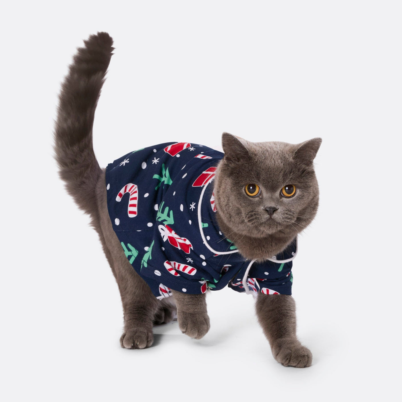 Cats' Blue Christmas Pattern Christmas Pyjamas