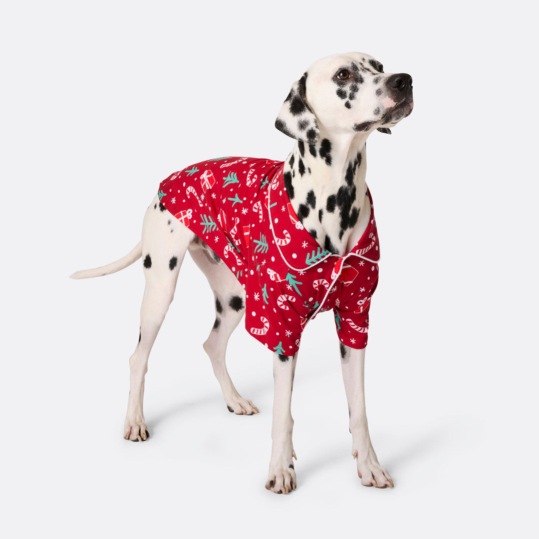 Dogs' Red Christmas Pattern Christmas Pyjamas