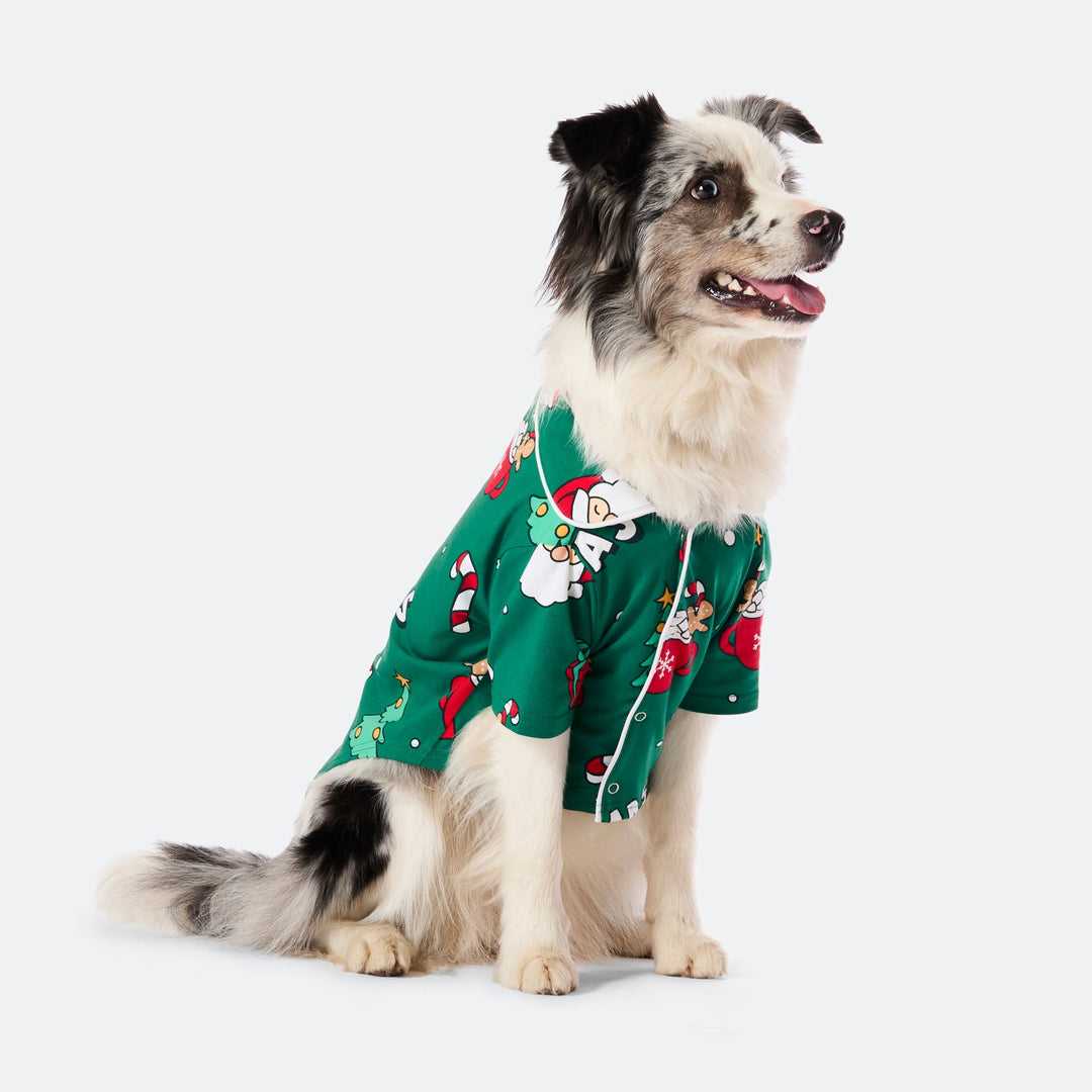 Dogs' Green Xmas Christmas Pyjamas