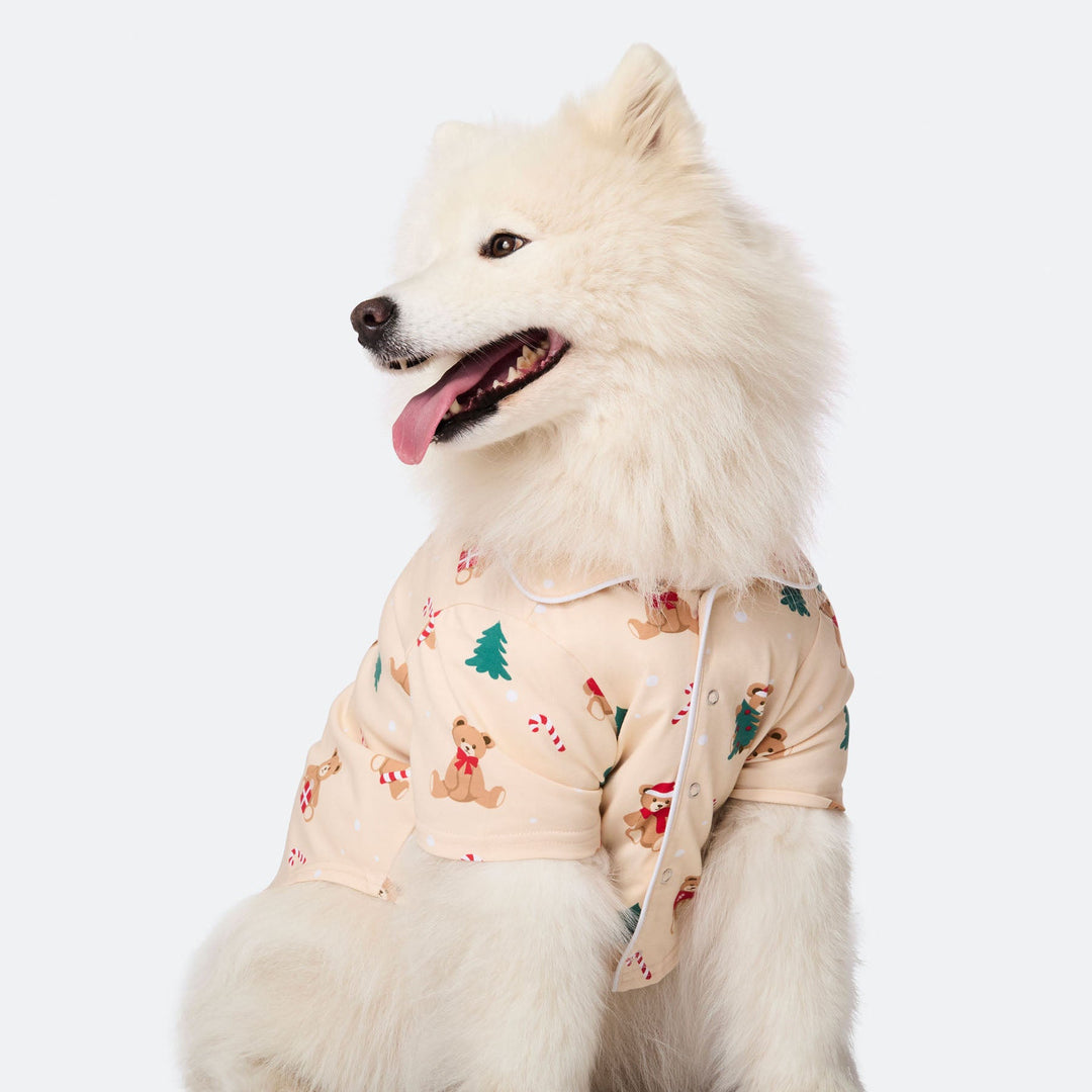 Dogs' Beige Teddy Bear Christmas Pyjamas