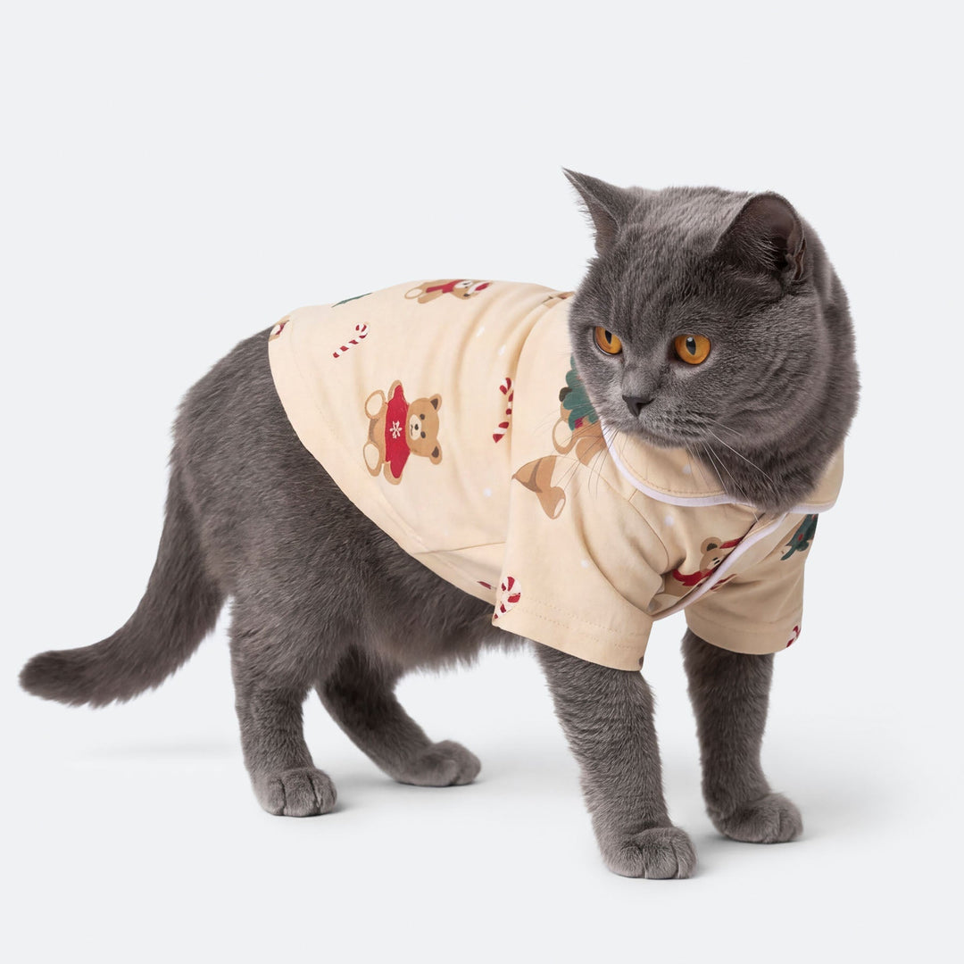 Cats' Beige Teddy Bear Christmas Pyjamas