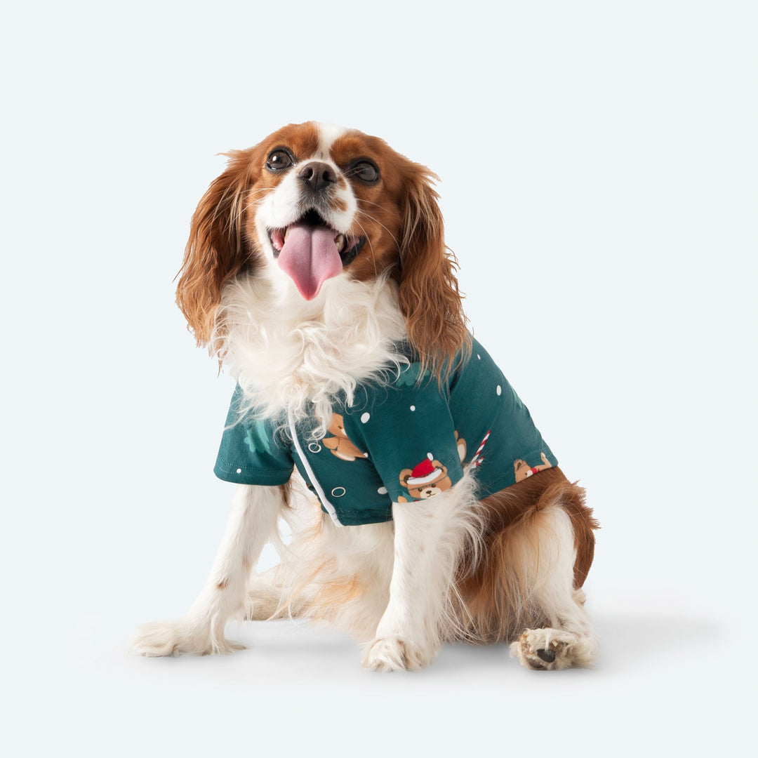 Dogs' Green Teddy Bear Christmas Pyjamas