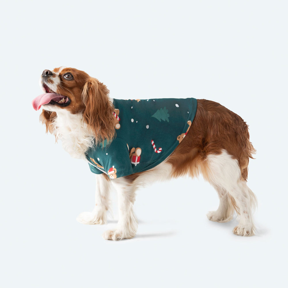 Dogs' Green Teddy Bear Christmas Pyjamas
