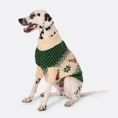 Dogs' Green Retro Reindeer Christmas Sweater