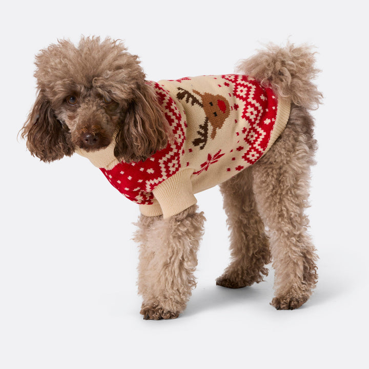 Dogs' Red Retro Reindeer Christmas Sweater