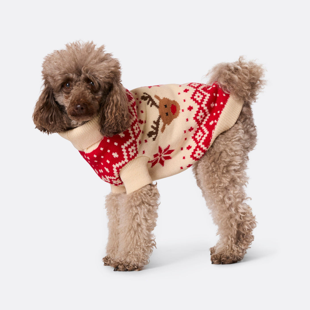 Dogs' Red Retro Reindeer Christmas Sweater