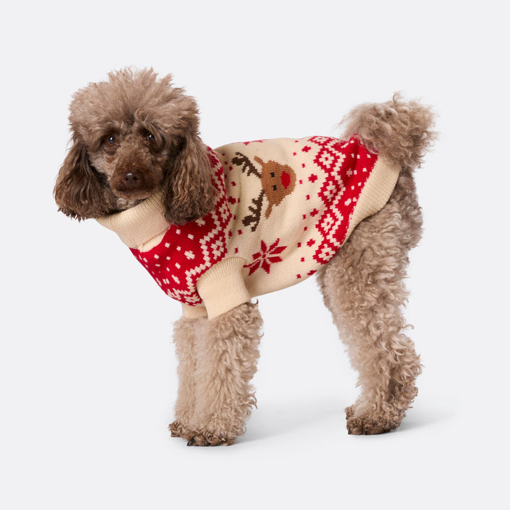Dogs' Red Retro Reindeer Christmas Sweater