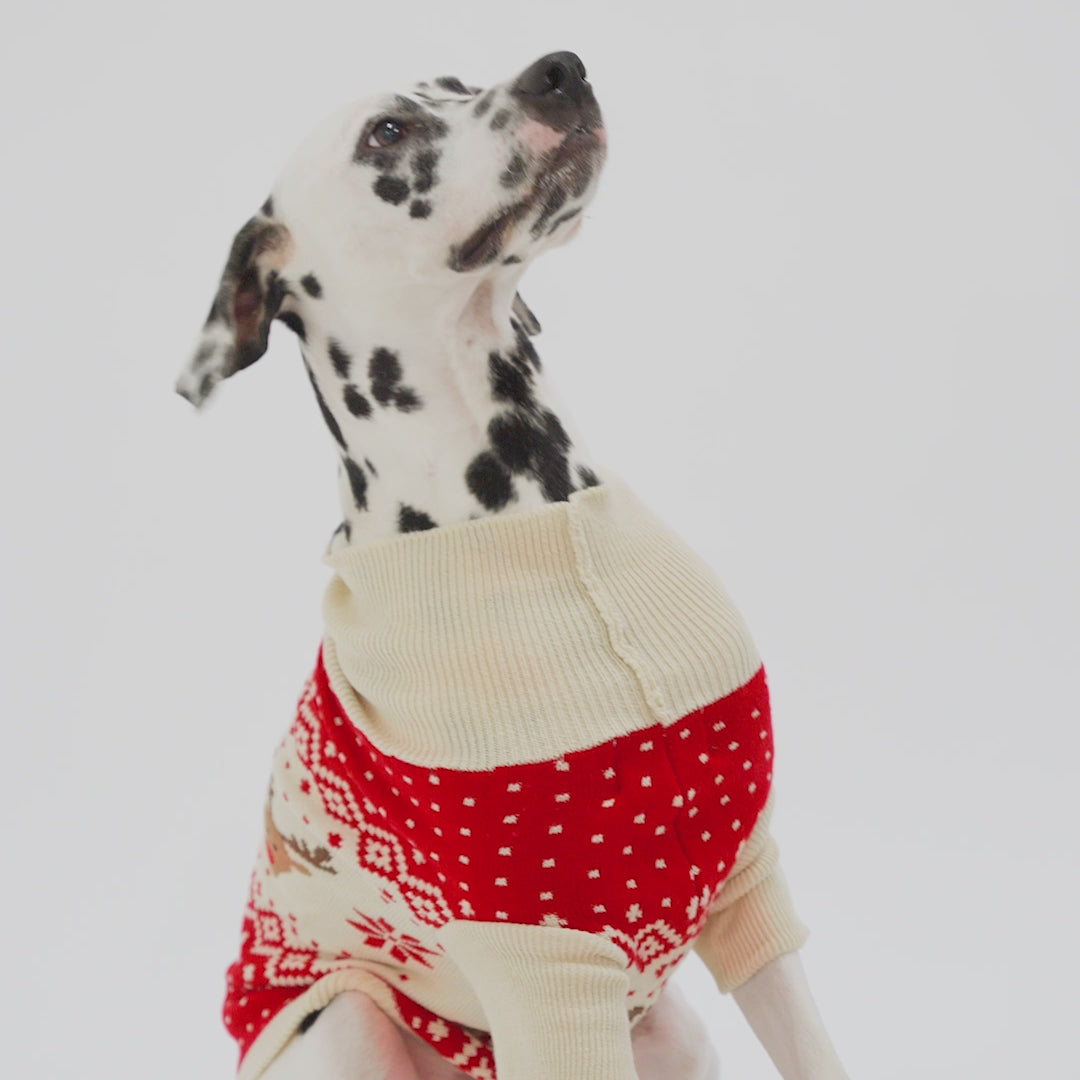 Dogs' Red Retro Reindeer Christmas Sweater