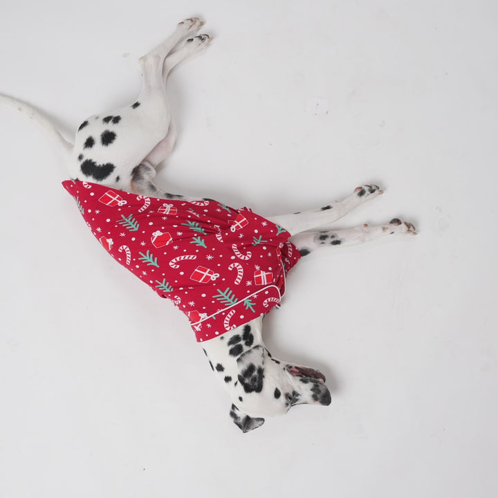 Dogs' Red Christmas Pattern Christmas Pyjamas