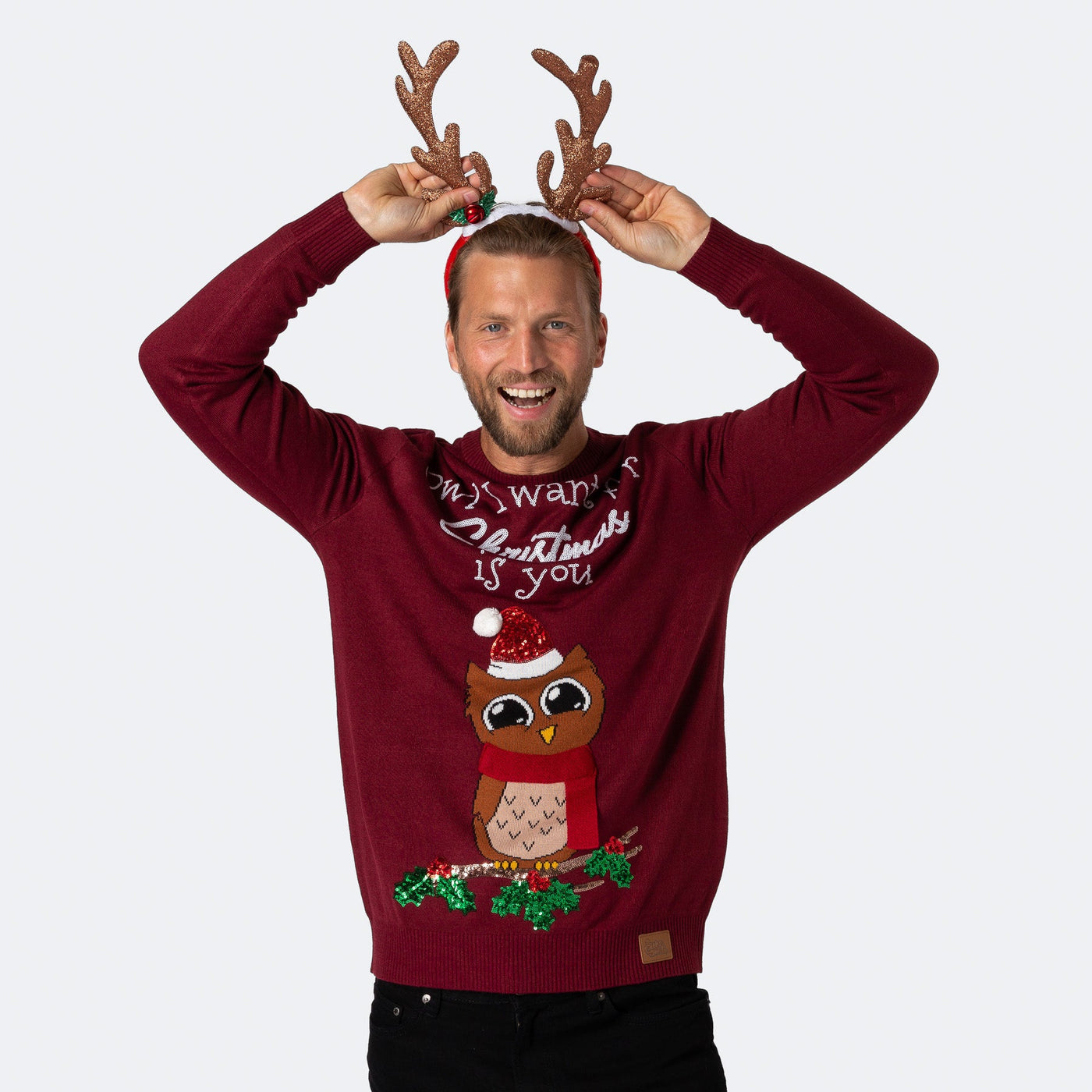 Men's Owl I Want For Christmas Christmas Sweater
