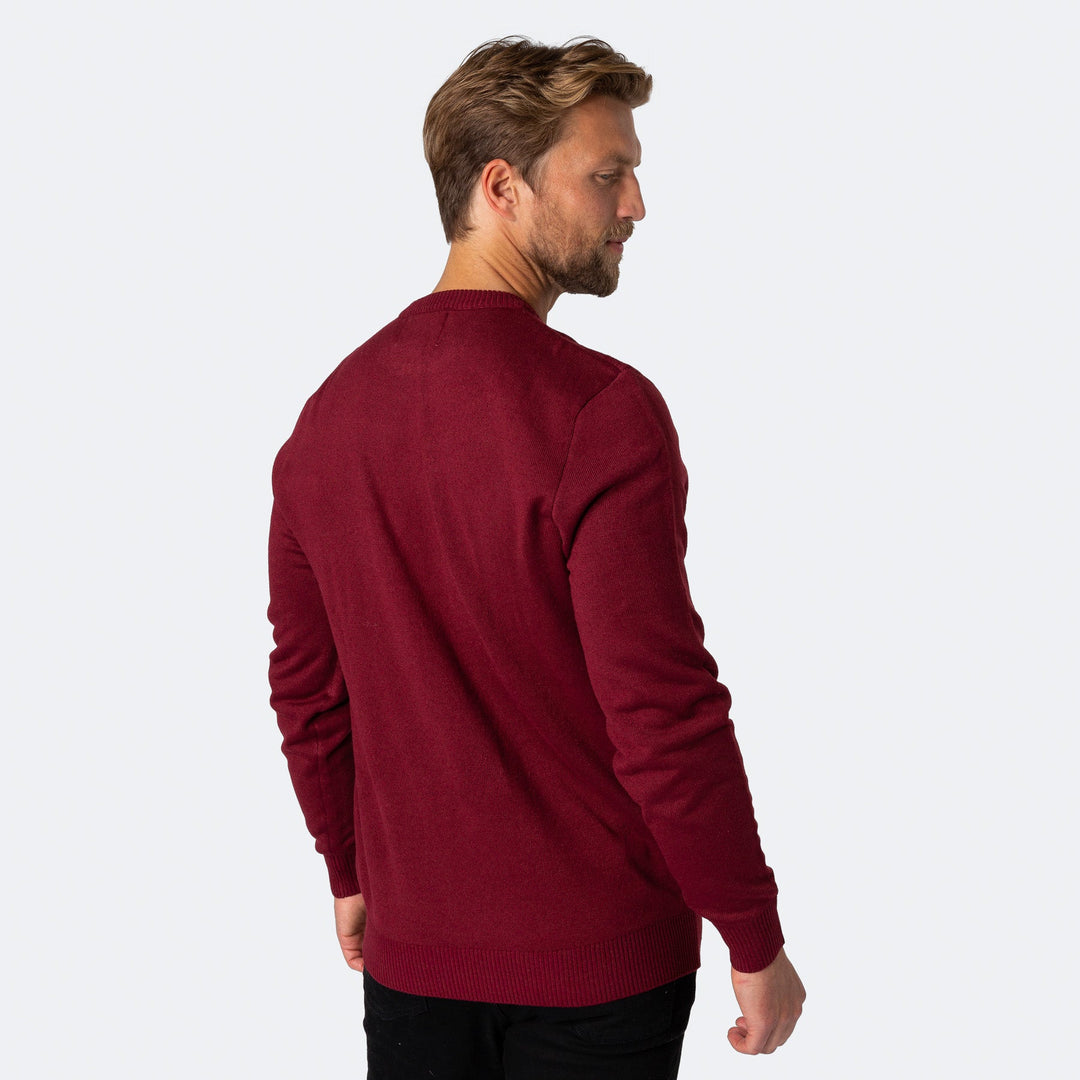 Men's Owl I Want For Christmas Christmas Sweater