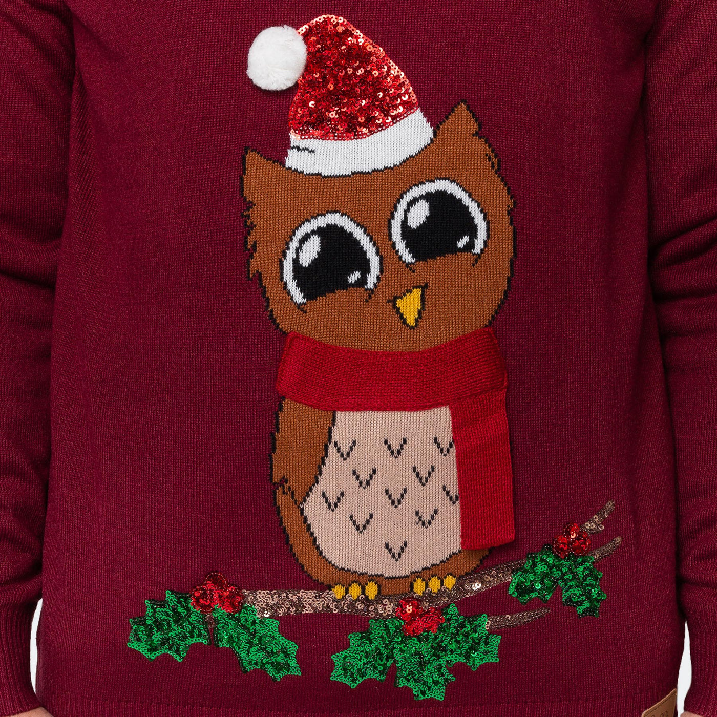 Men's Owl I Want For Christmas Christmas Sweater