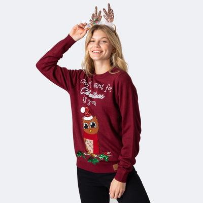 Women's Owl I Want For Christmas Christmas Sweater