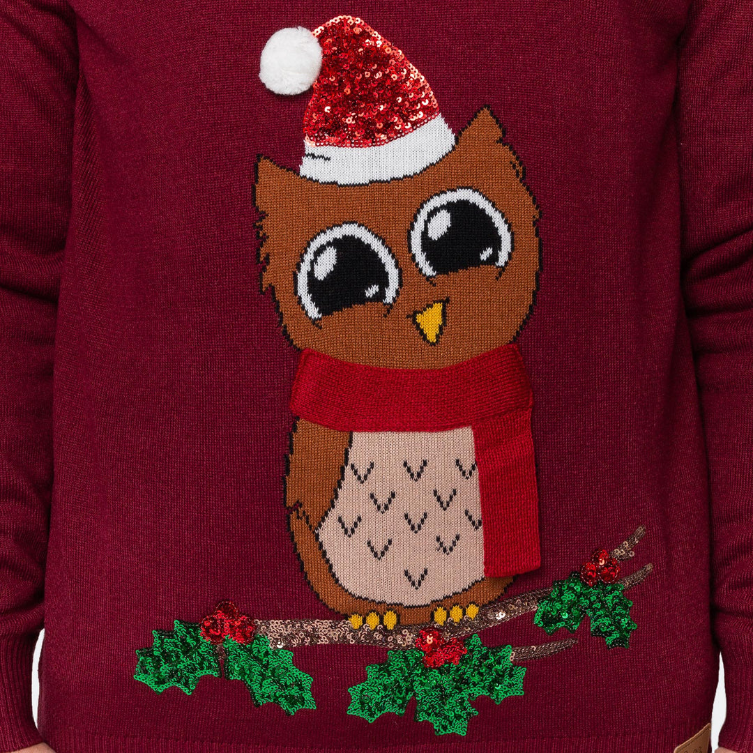 Women's Owl I Want For Christmas Christmas Sweater