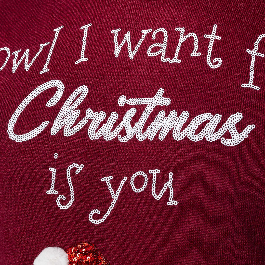 Women's Owl I Want For Christmas Christmas Sweater
